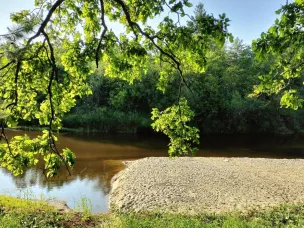 Ожидается высокая (4 класс) пожароопасность лесов и торфяников!